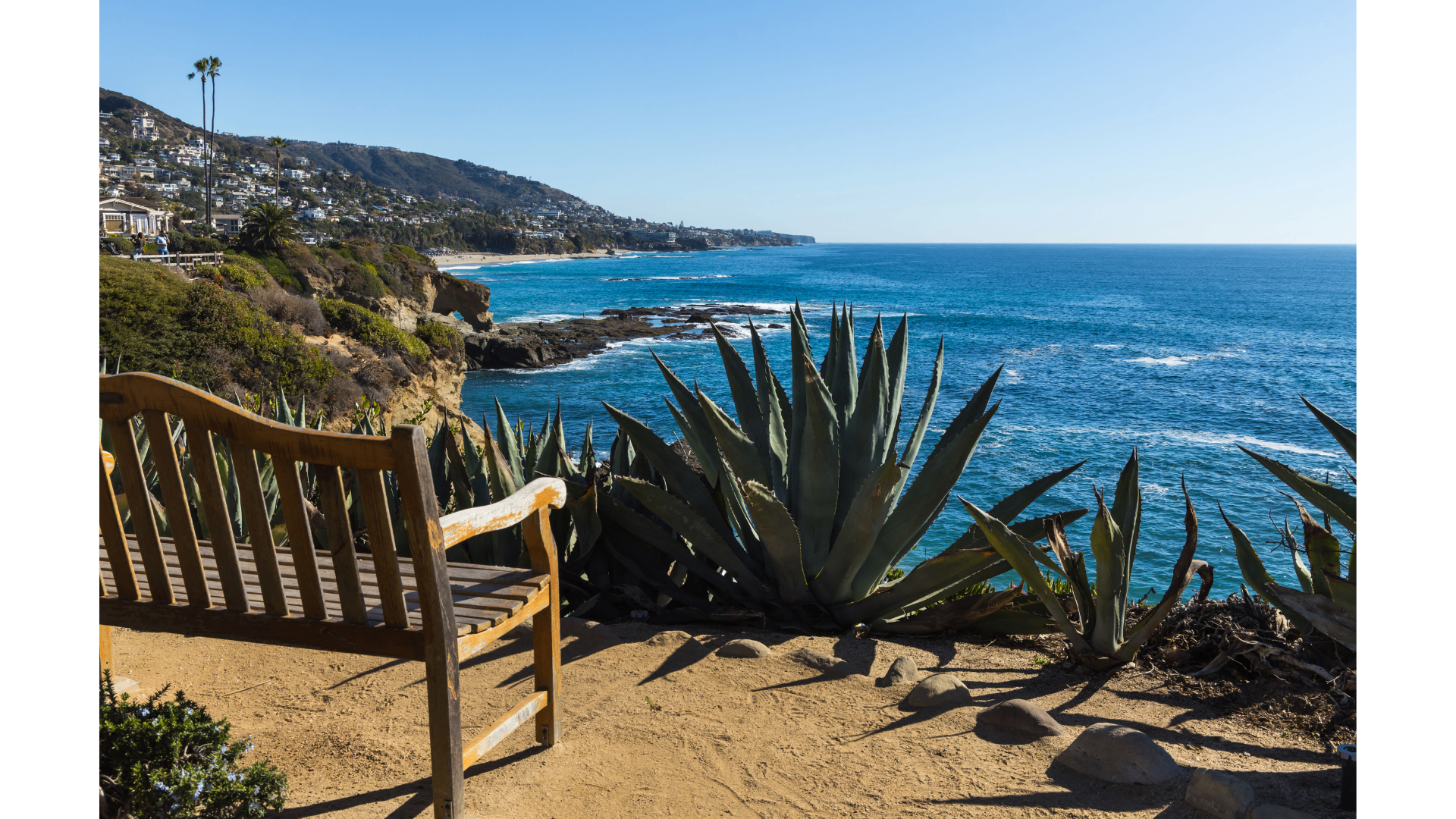 A quiet bench overlooking the Pacific coastline — a place for reflection